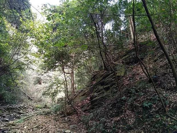 谷轮540RA 系列电磁阀——特性